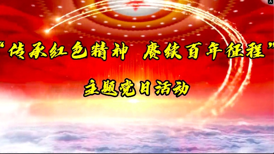 傳承紅色精神，賡續(xù)百年征程-共產(chǎn)黨員服務(wù)大隊主題黨日活動